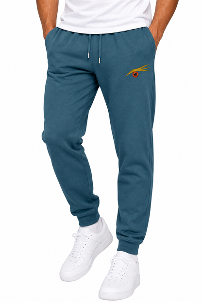 ROCKHOPPER JOGGERS stargazer
