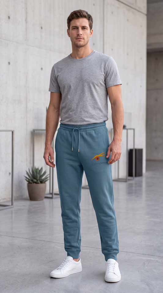 ROCKHOPPER JOGGERS stargazer